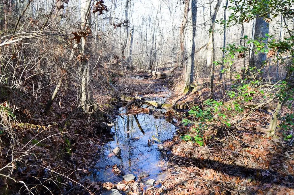 0 Sparta Highway 63.3 Acres Crossville TN 38555