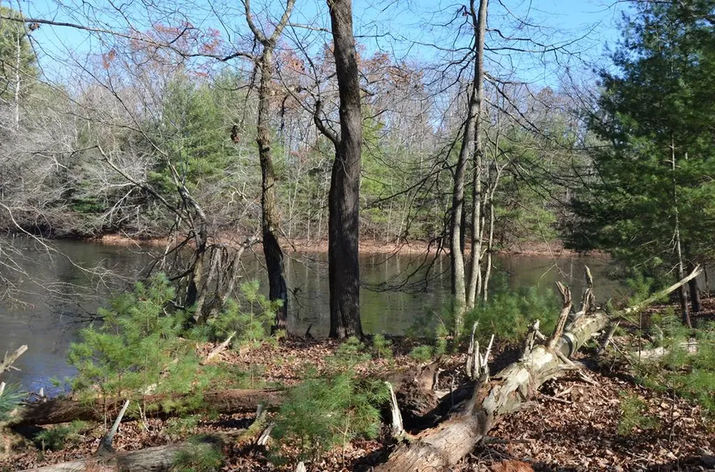 0 Sparta Highway 63.3 Acres Crossville TN 38555