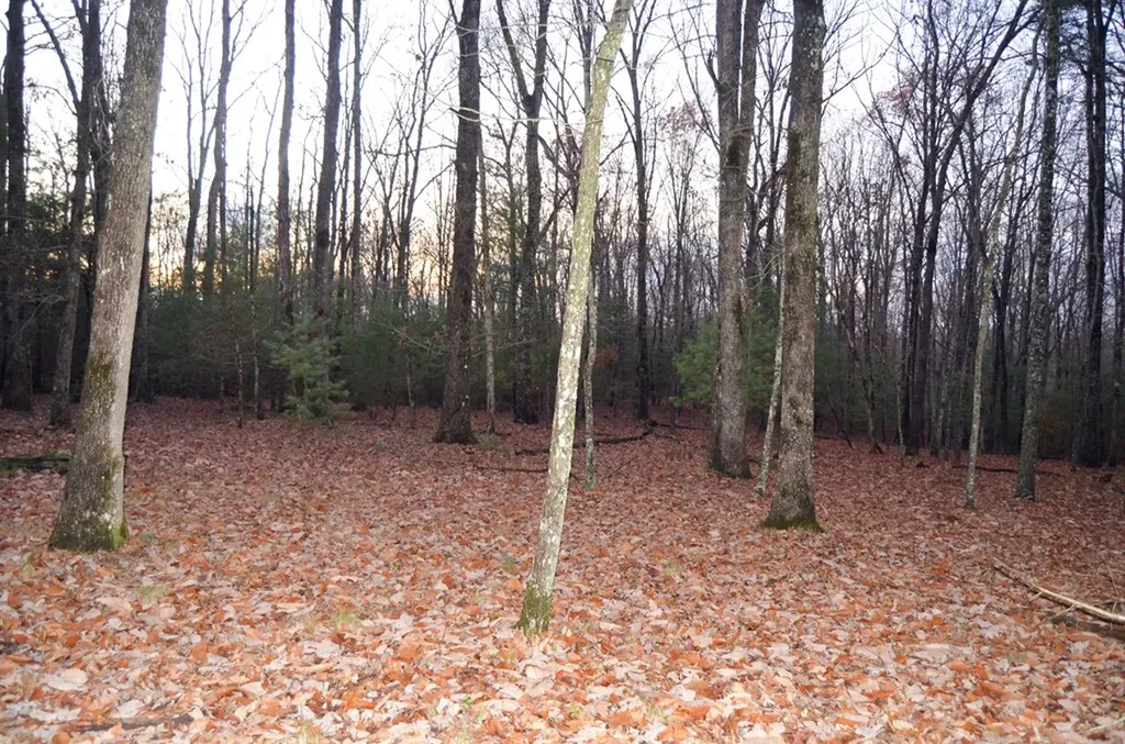 0 Sparta Highway 63.3 Acres Crossville TN 38555