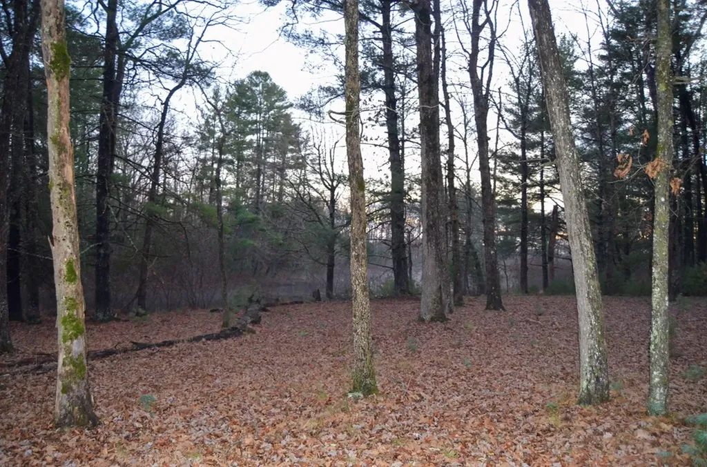 0 Sparta Highway 63.3 Acres Crossville TN 38555