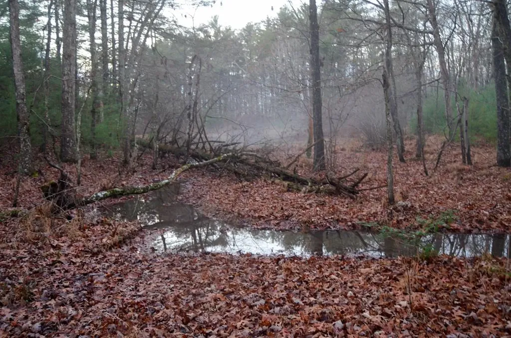 0 Sparta Highway 63.3 Acres Crossville TN 38555