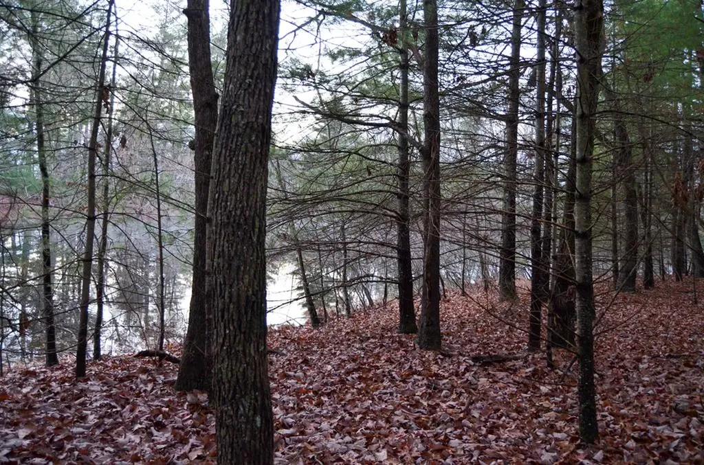 0 Sparta Highway 63.3 Acres Crossville TN 38555