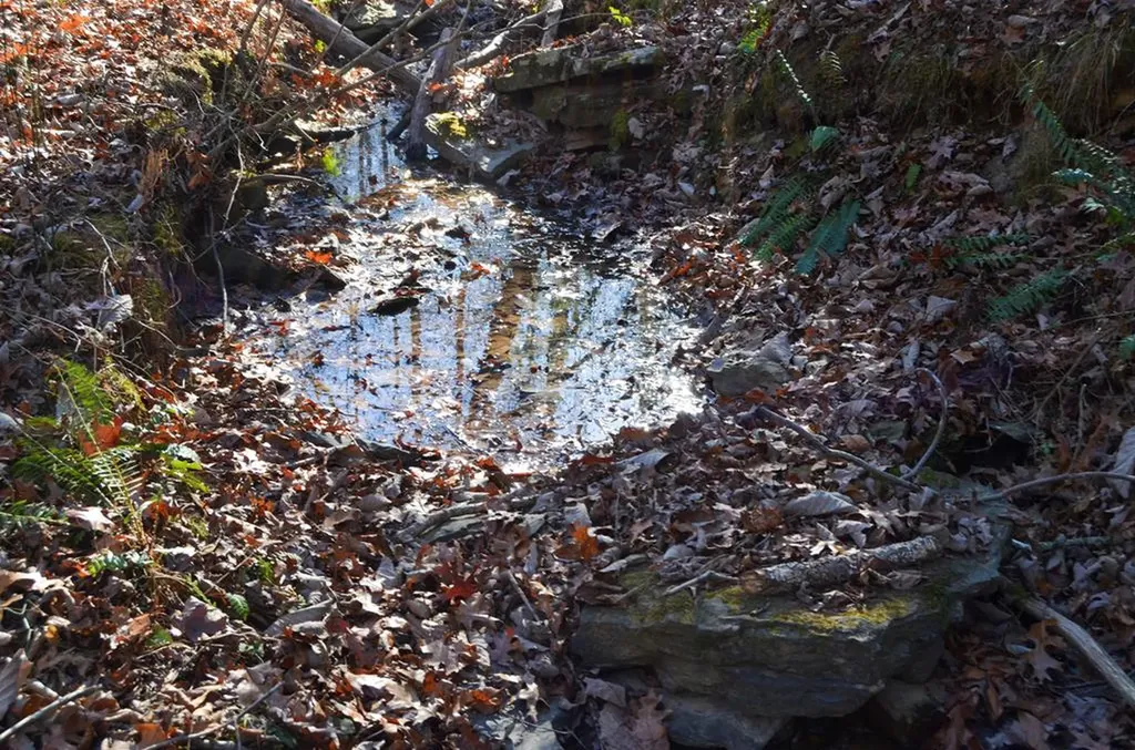 0 Sparta Highway 63.3 Acres Crossville TN 38555