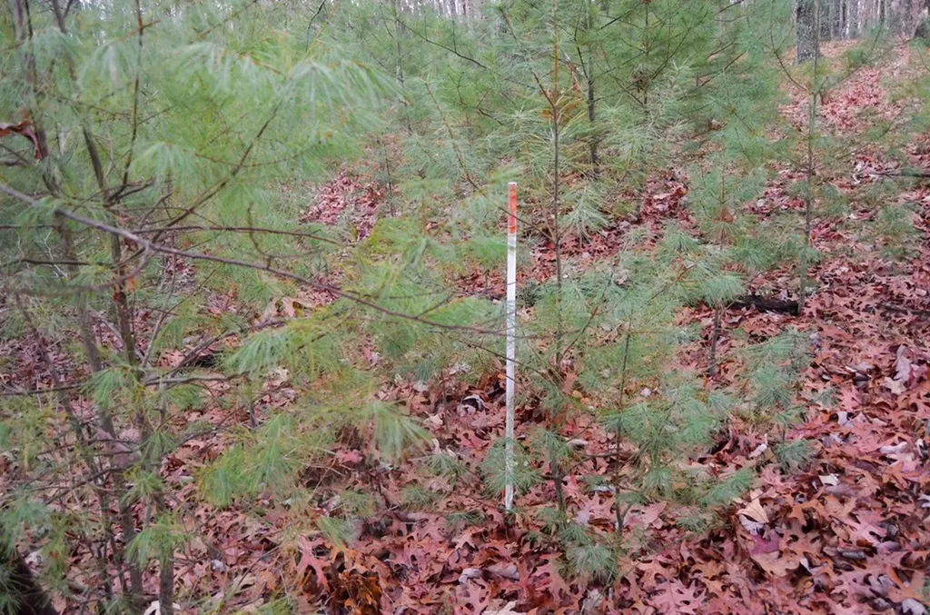 0 Sparta Highway 63.3 Acres Crossville TN 38555