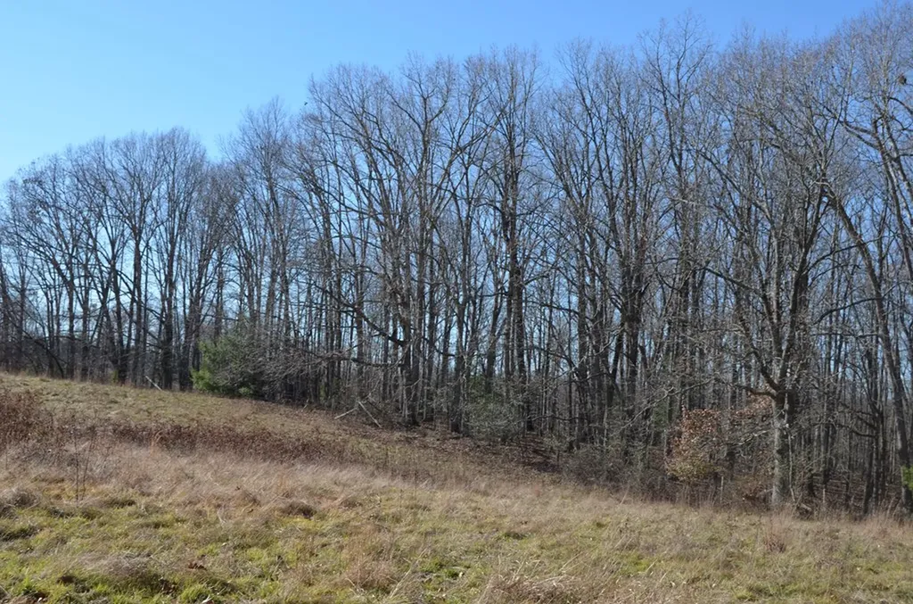 0 Sparta Highway 63.3 Acres Crossville TN 38555