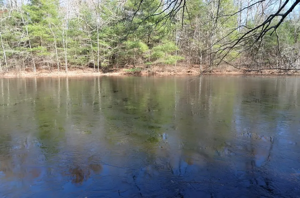0 Sparta Highway 63.3 Acres Crossville TN 38555