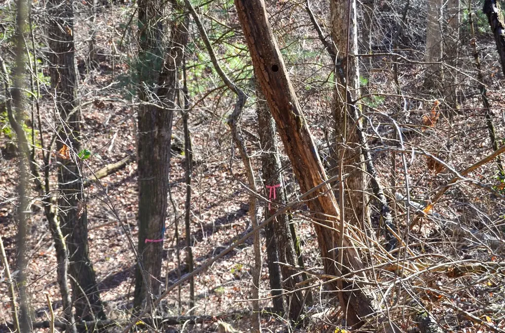 0 Sparta Highway 31.65 +/- Acres Crossville TN 38555