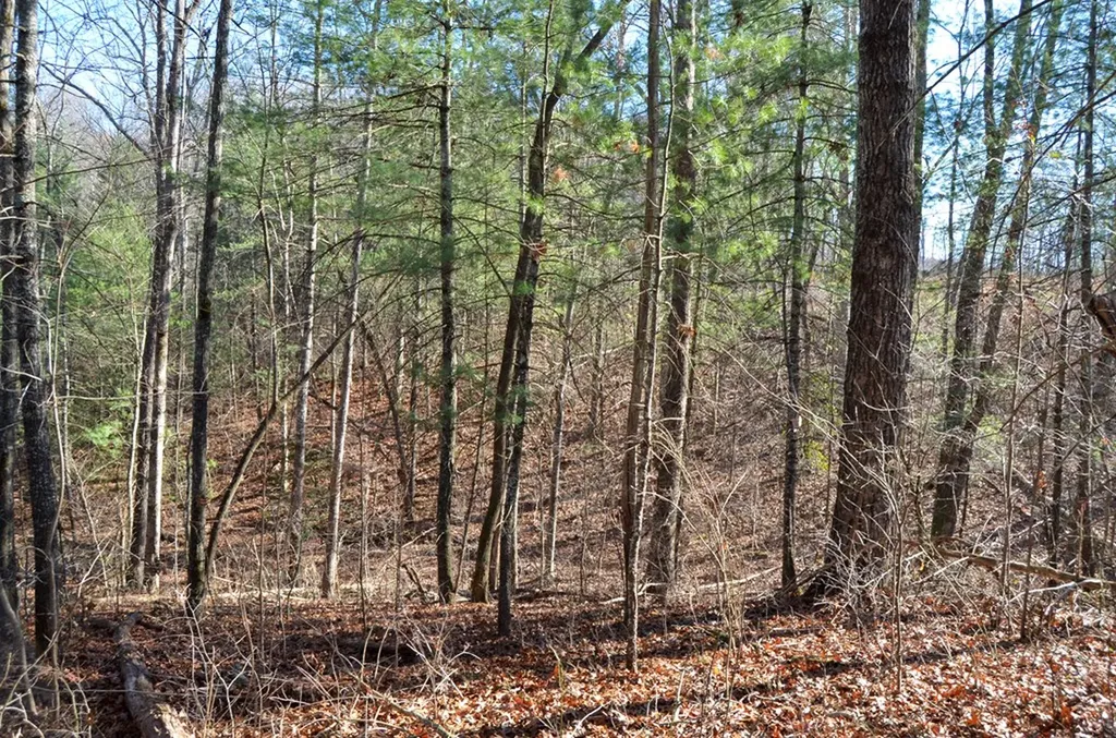 0 Sparta Highway 31.65 +/- Acres Crossville TN 38555