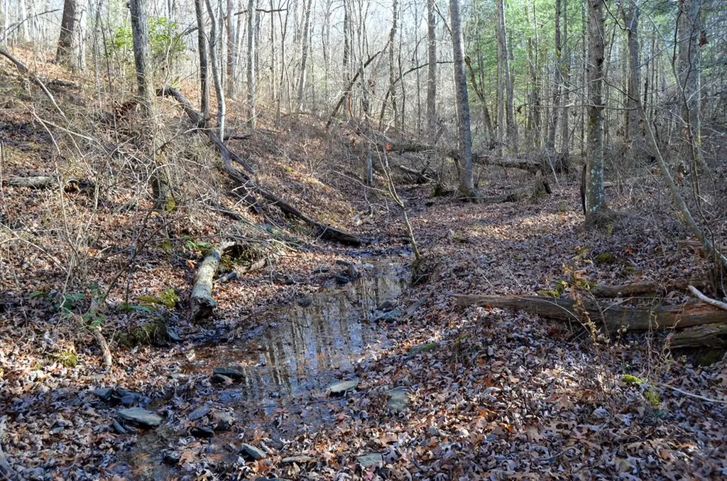 0 Sparta Highway 31.65 +/- Acres Crossville TN 38555