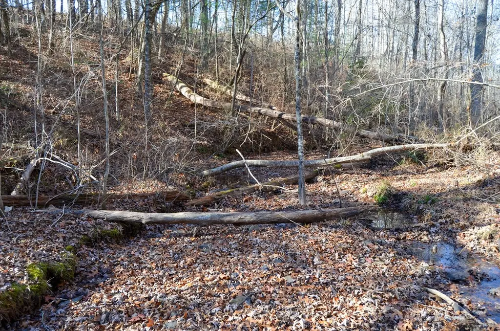 0 Sparta Highway 31.65 +/- Acres Crossville TN 38555