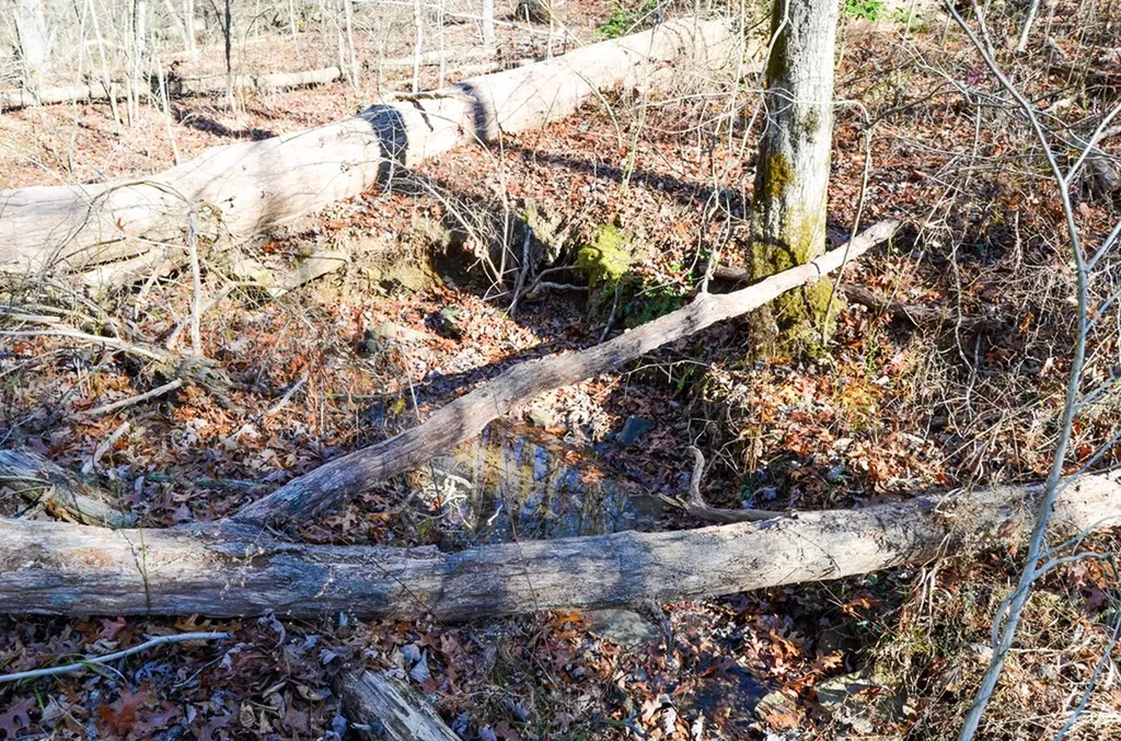 0 Sparta Highway 31.65 +/- Acres Crossville TN 38555