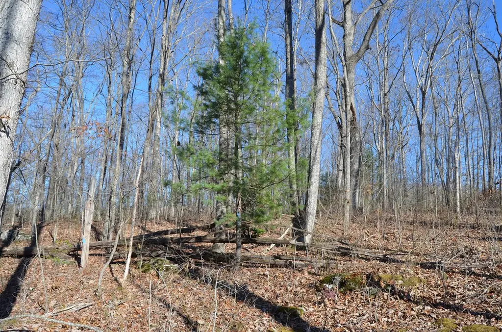 0 Sparta Highway 31.65 +/- Acres Crossville TN 38555
