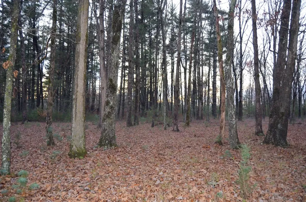 0 Sparta Highway 31.65 +/- Acres Crossville TN 38555