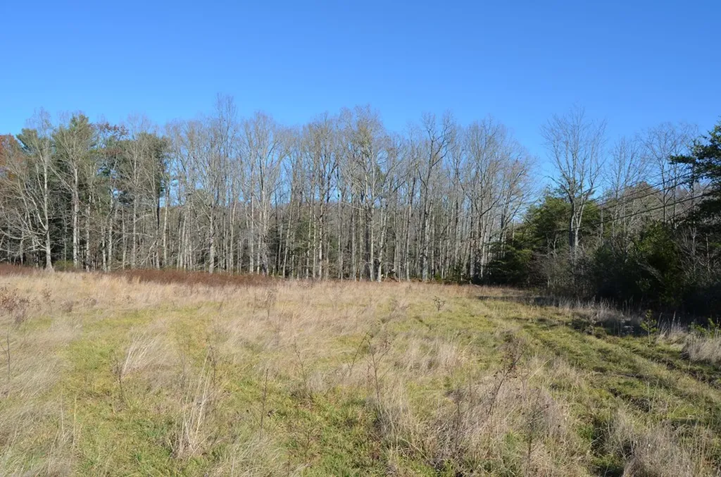 0 Sparta Highway 31.65 +/- Acres Crossville TN 38555