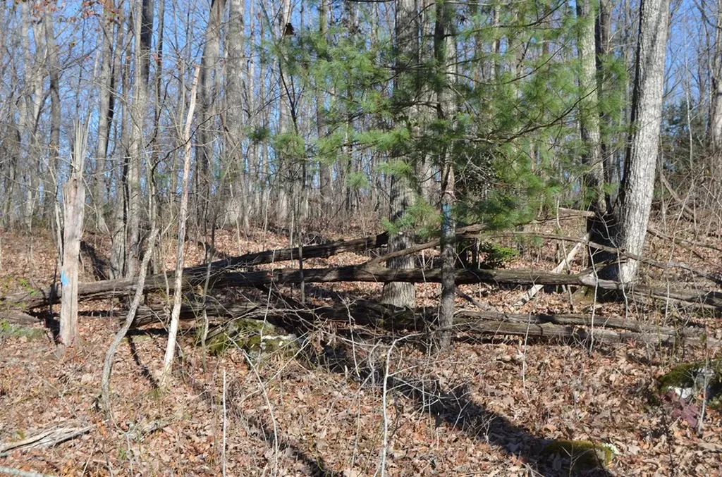 0 Sparta Highway 31.65 +/- Acres Crossville TN 38555