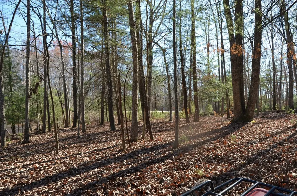 0 Sparta Highway 31.65 +/- Acres Crossville TN 38555
