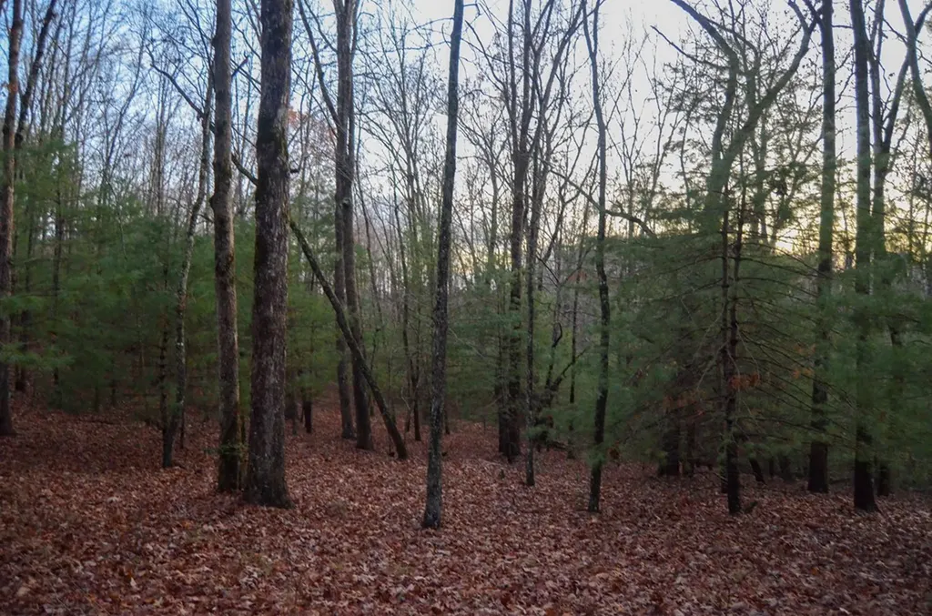 0 Sparta Highway 31.65 +/- Acres Crossville TN 38555