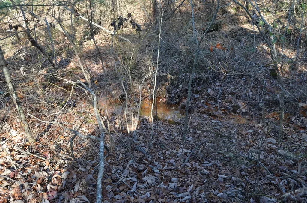 0 Sparta Highway 31.65 +/- Acres Crossville TN 38555