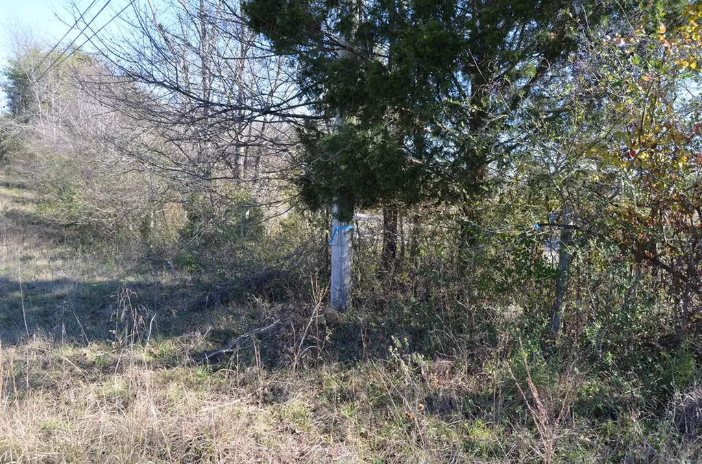 0 Sparta Highway 31.65 +/- Acres Crossville TN 38555