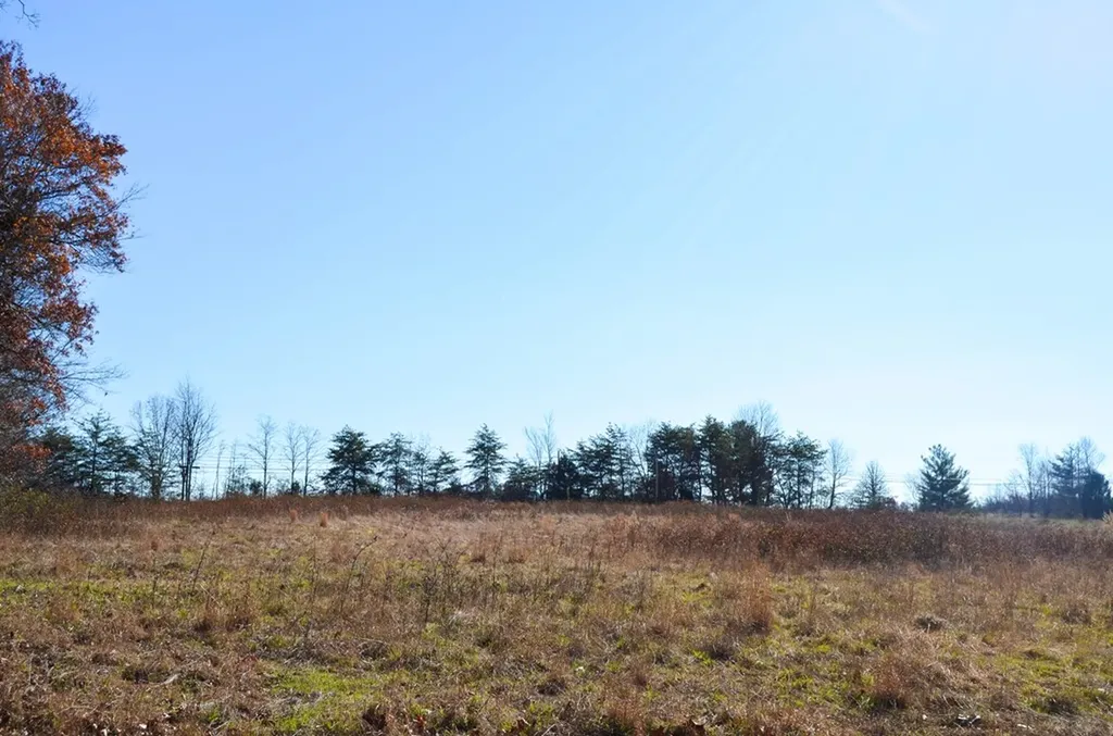 0 Sparta Highway 31.65 +/- Acres Crossville TN 38555