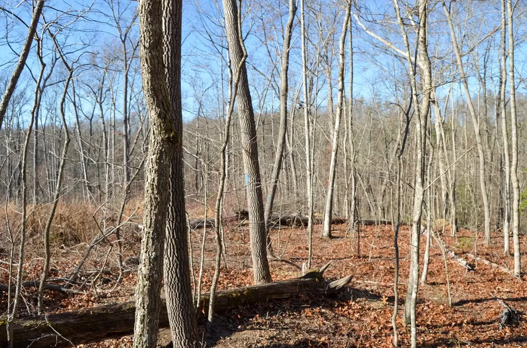 0 Sparta Highway 31.65 +/- Acres Crossville TN 38555