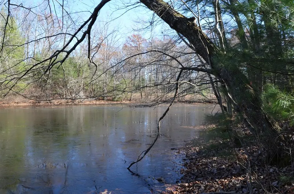 0 Sparta Highway 31.64+/- Acres Crossville TN 38555