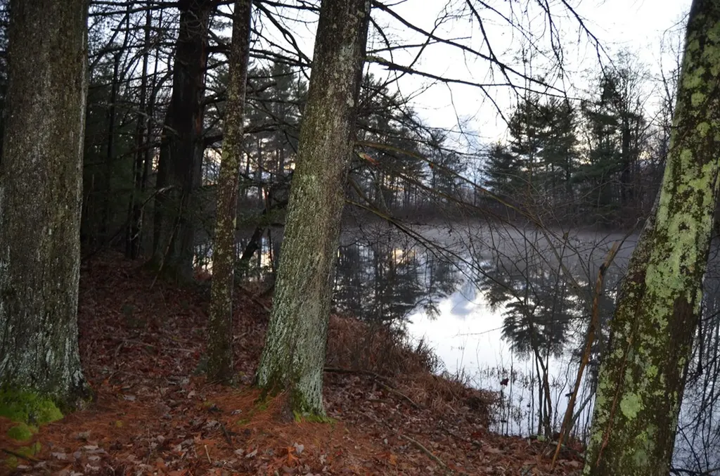 0 Sparta Highway 31.64+/- Acres Crossville TN 38555