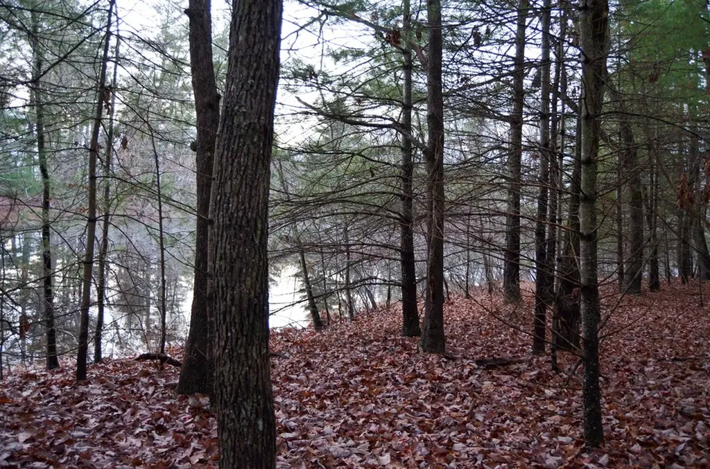0 Sparta Highway 31.64+/- Acres Crossville TN 38555