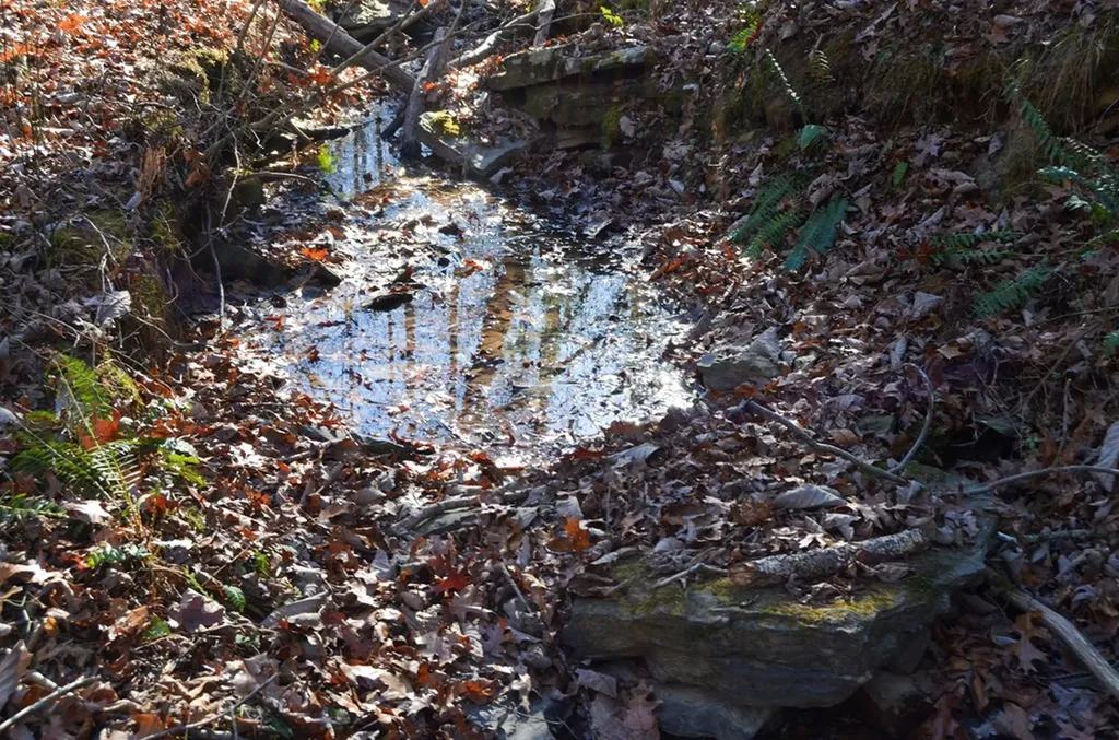 0 Sparta Highway 31.64+/- Acres Crossville TN 38555