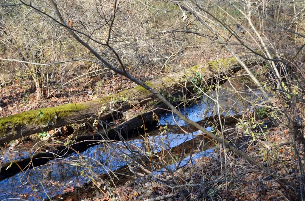 0 Sparta Highway 31.64+/- Acres Crossville TN 38555