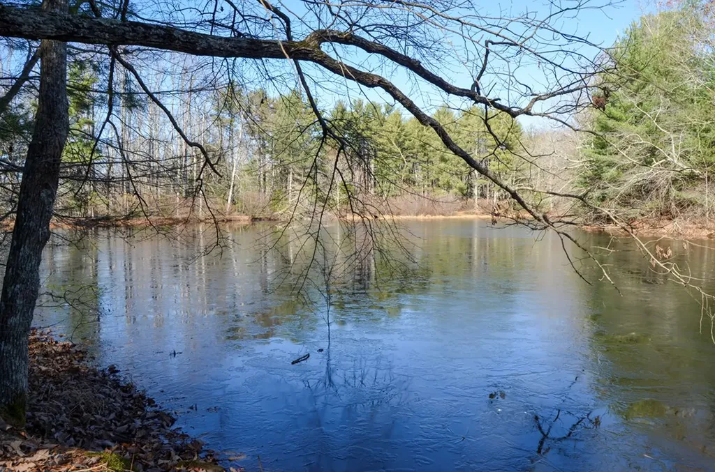 0 Sparta Highway 31.64+/- Acres Crossville TN 38555