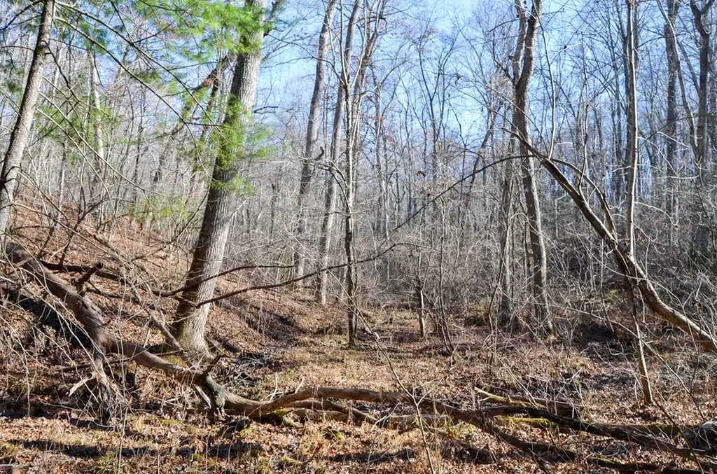 0 Sparta Highway 31.64+/- Acres Crossville TN 38555