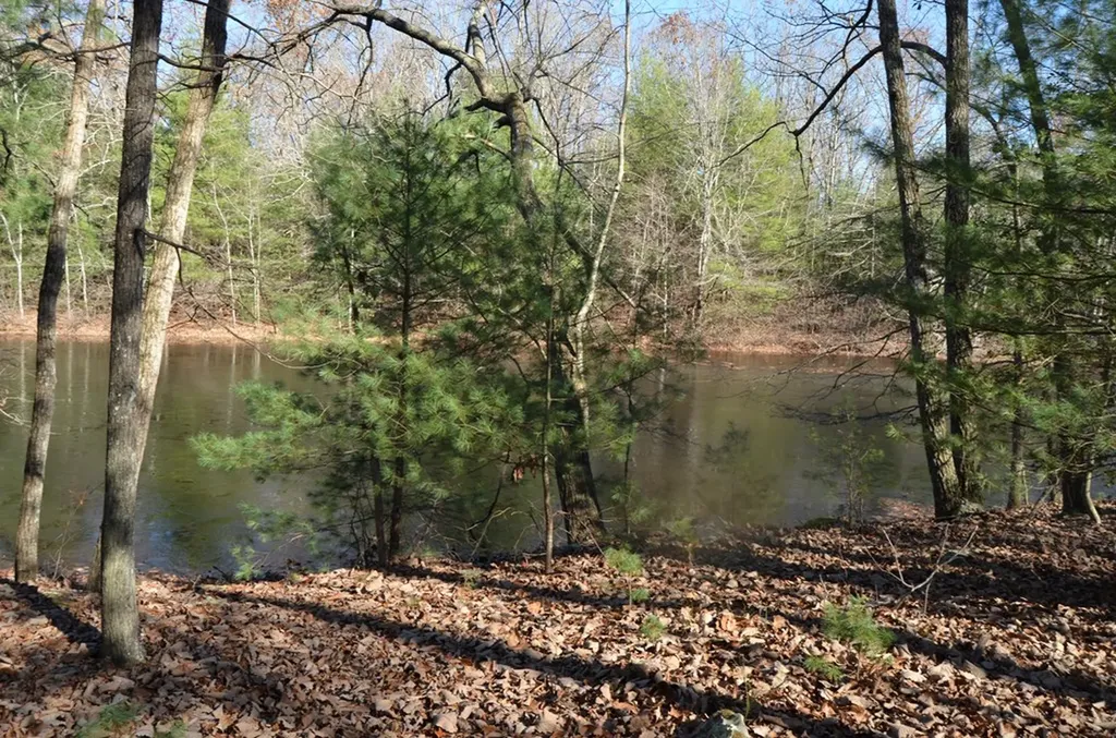 0 Sparta Highway 31.64+/- Acres Crossville TN 38555