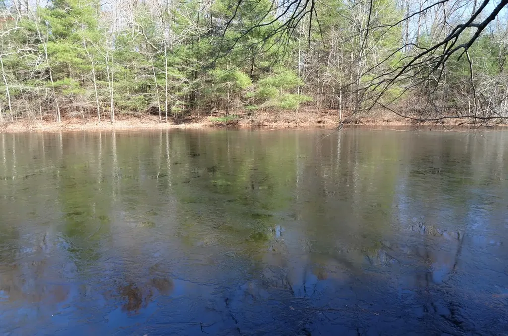 0 Sparta Highway 31.64+/- Acres Crossville TN 38555