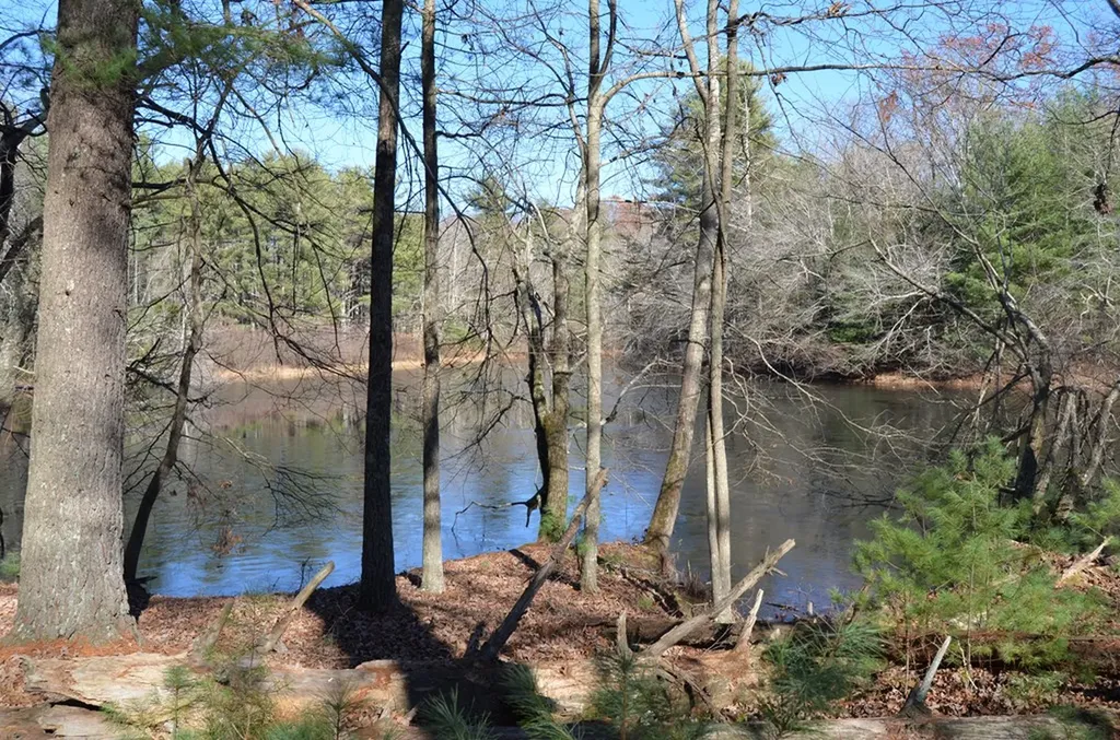 0 Sparta Highway 31.64+/- Acres Crossville TN 38555