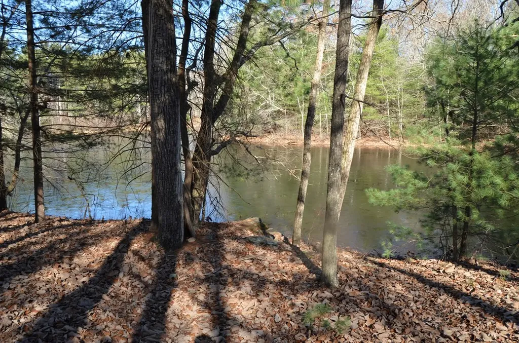 0 Sparta Highway 31.64+/- Acres Crossville TN 38555