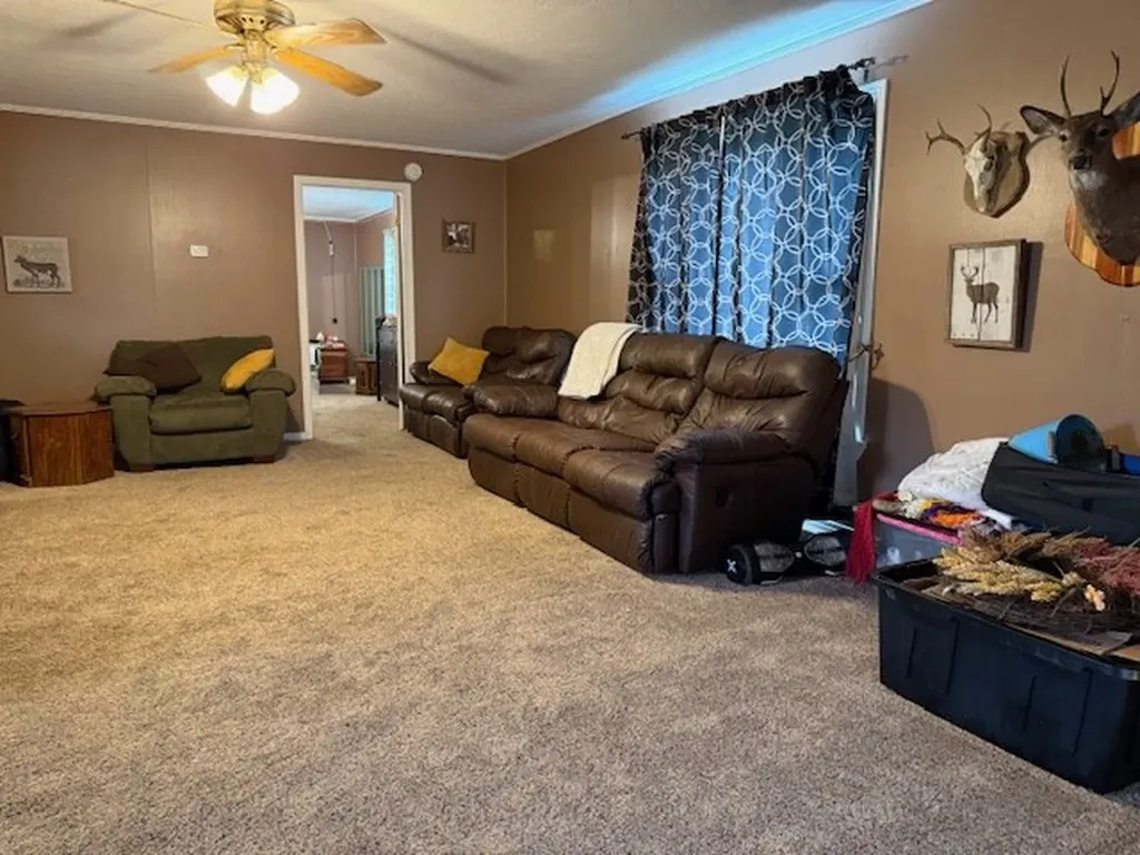 208 Grace Avenue Baxter TN 38544