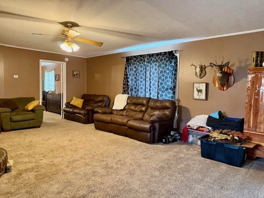 208 Grace Avenue Baxter TN 38544