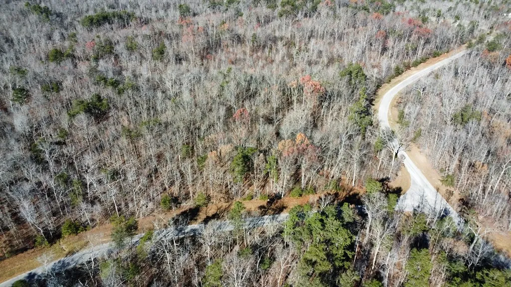 Lot# 1 Austin Drive Monterey TN 38574