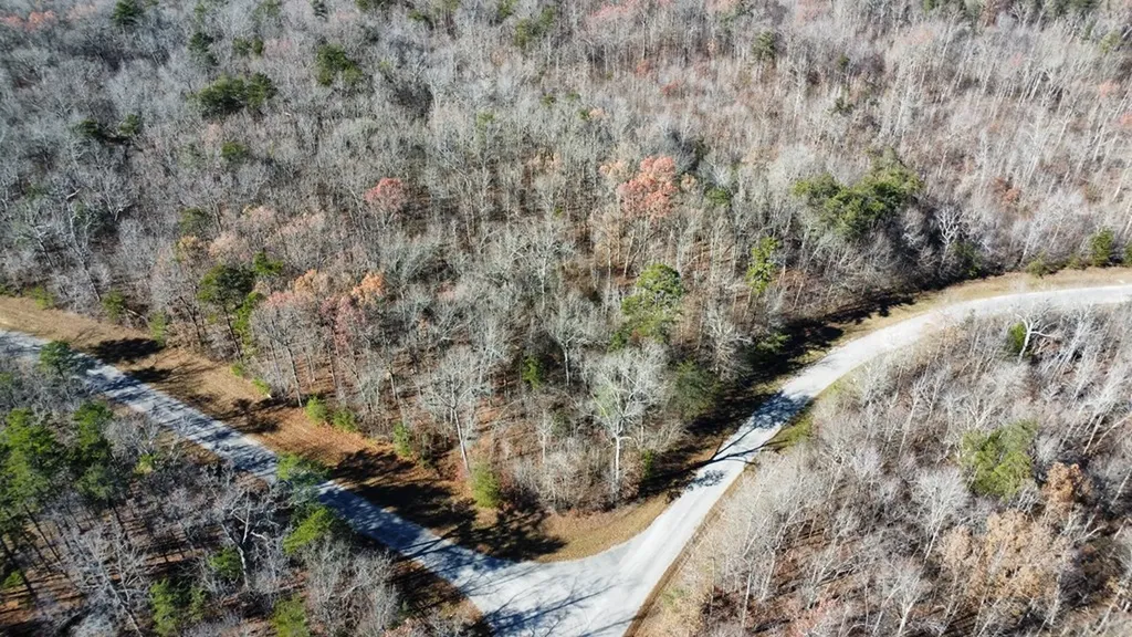Lot# 1 Austin Drive Monterey TN 38574