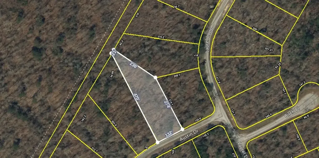 Lot# 1 Austin Drive Monterey TN 38574