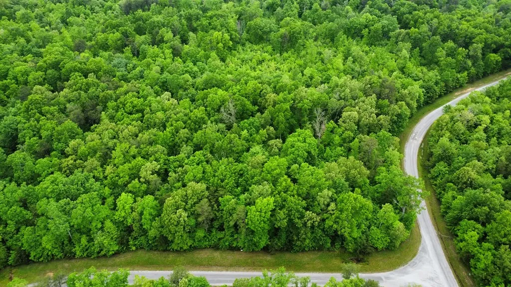 Lot# 1 Austin Drive Monterey TN 38574
