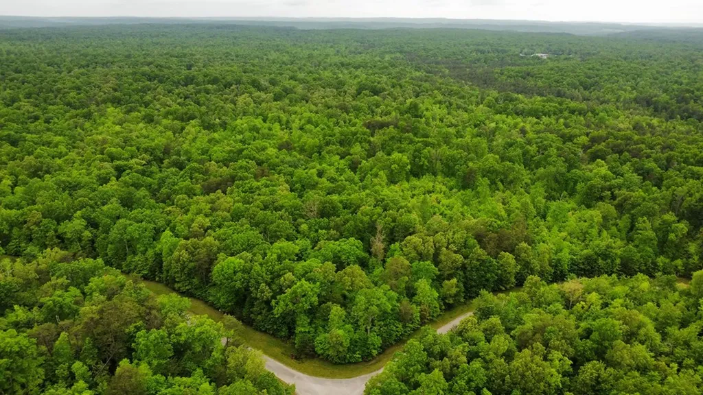 Lot# 1 Austin Drive Monterey TN 38574