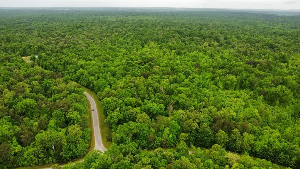 Lot# 1 Austin Drive Monterey TN 38574