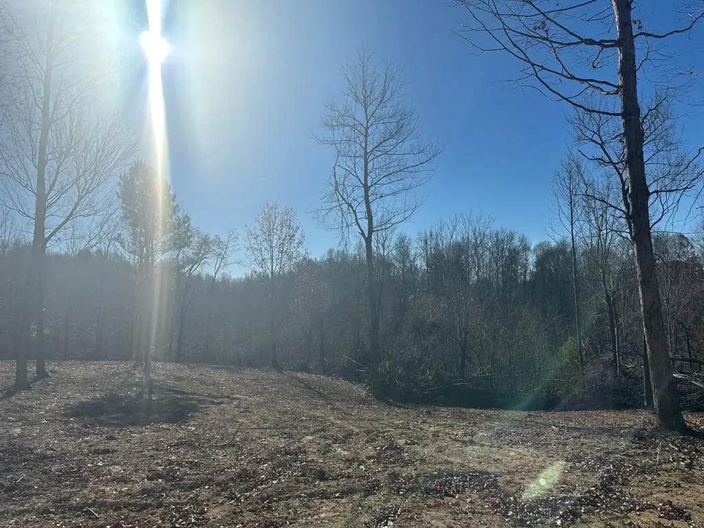 2500 Mccoinsville Road Gainesboro TN 38562