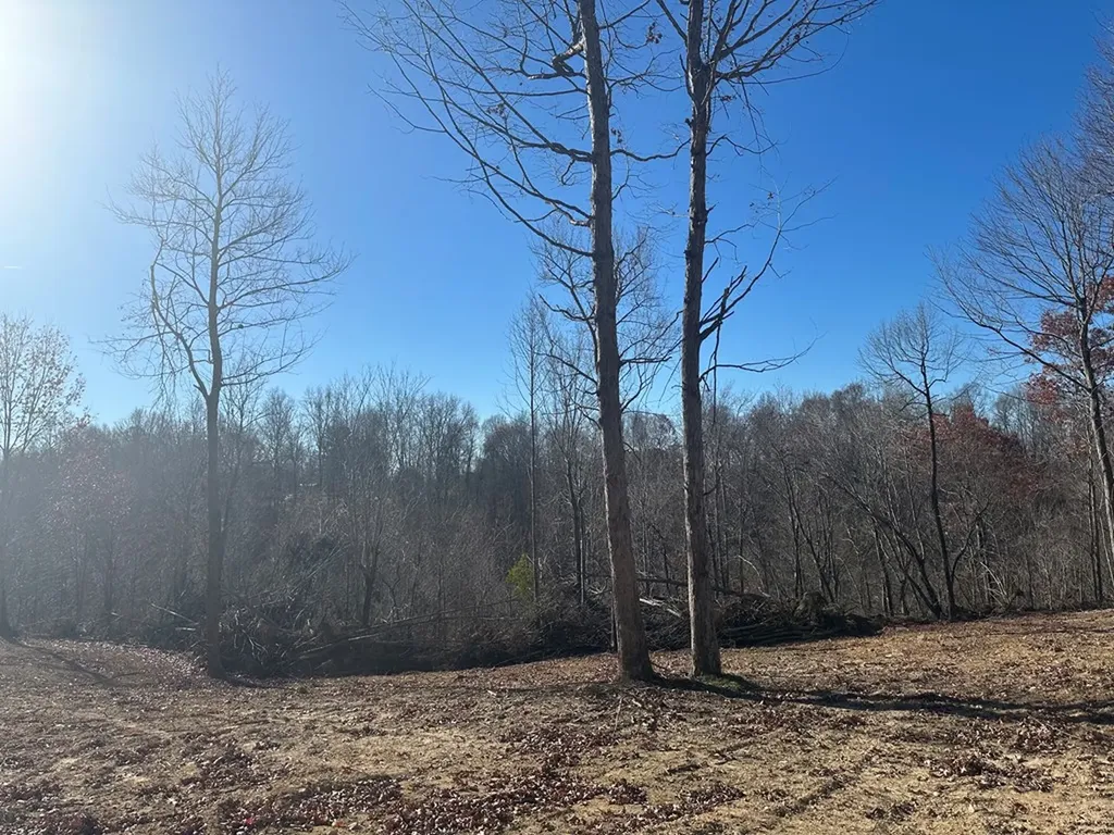 2500 Mccoinsville Road Gainesboro TN 38562
