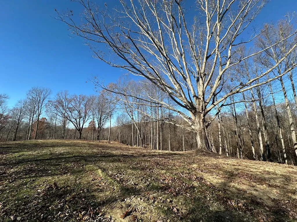 2500 Mccoinsville Road Gainesboro TN 38562