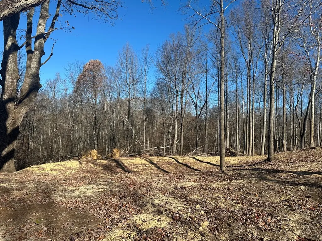 2500 Mccoinsville Road Gainesboro TN 38562