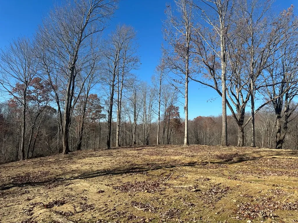 2500 Mccoinsville Road Gainesboro TN 38562