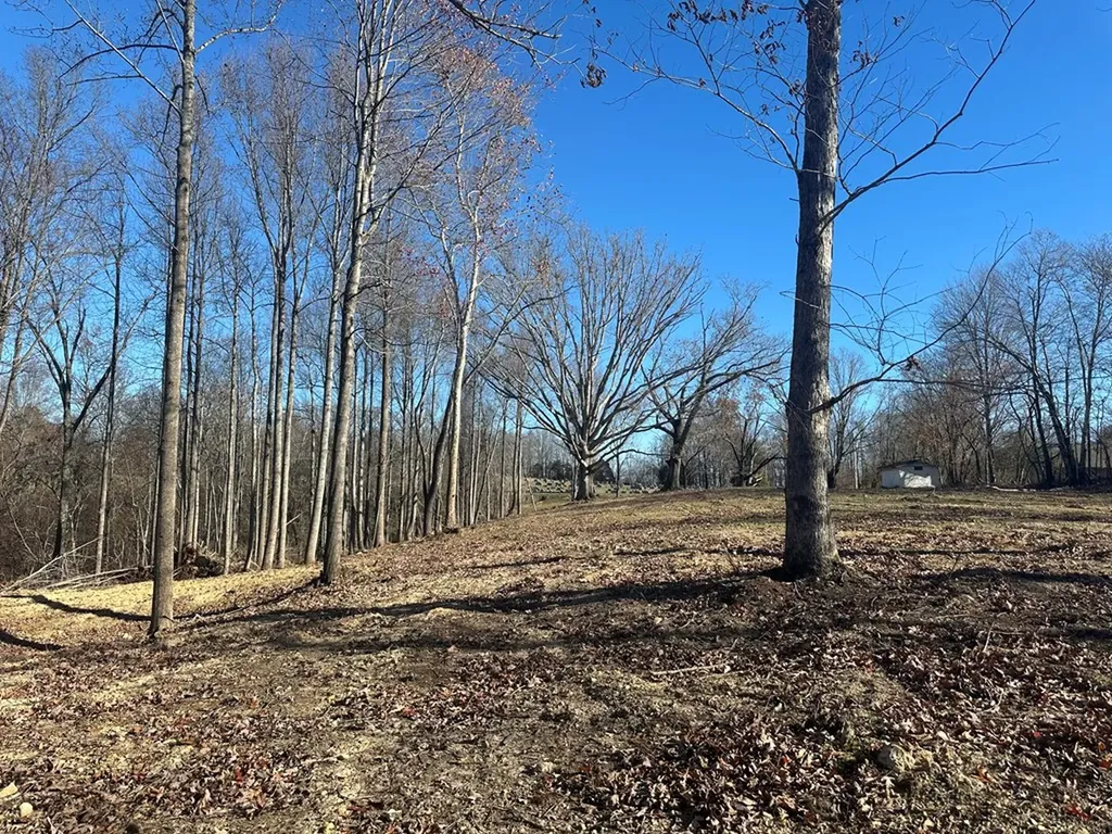 2500 Mccoinsville Road Gainesboro TN 38562